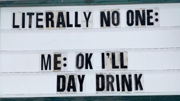 43 Of The Best Damn Photos On The Internet This Afternoon