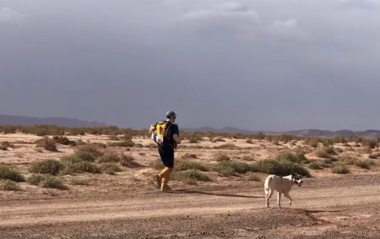 This Good Dog Completing A 6Day, 140Mile Marathon Across The Sahara