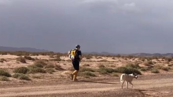 This Good Dog Completing A 6-Day, 140-Mile Marathon Across The Sahara Desert Is My Motivation