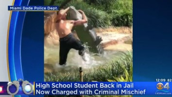 Florida Teen Arrested For Attempting RKO On Principal Arrested Again For RKO’ing A Fake Alligator At A Mall