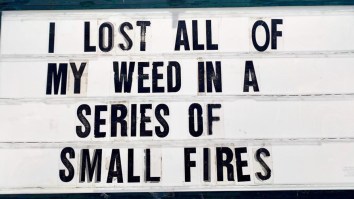 42 Of The Best Damn Photos On The Internet This Morning