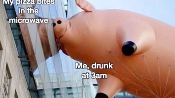 43 Of The Best Damn Photos On The Internet This Afternoon