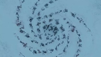 What Do These Terrifying Spiral Symbols In ‘Game Of Thrones’ Mean, What’s The Origins And Are The Targaryens Involved?