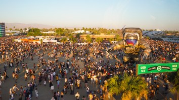 Herpes Rates Are Sore-ing On Coachella Festival Grounds, 20 Times The Average