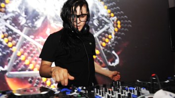 Newest Mosquito Repellent That Stops The Pests From Having Sex Is A Skrillex Song According To New Study