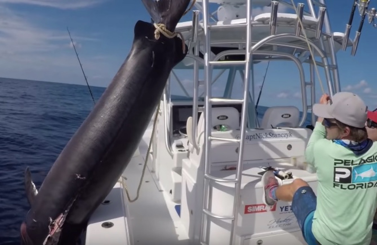 Florida Keys Capt. Lands Absolutely Enormous 757Pound Swordfish That Took 8Hours To Catch