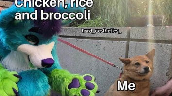 43 Of The Best Damn Photos On The Internet This Afternoon