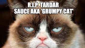 43 Of The Best Damn Photos On The Internet This Afternoon