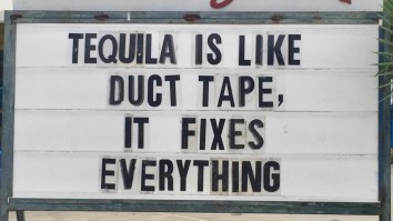 42 Of The Best Damn Photos On The Internet This Morning