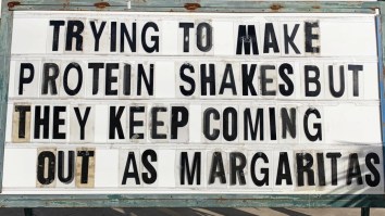 42 Of The Best Damn Photos On The Internet This Morning