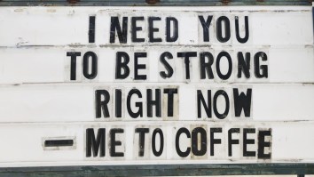 42 Of The Best Damn Photos On The Internet This Morning