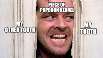 43 Of The Best Damn Photos On The Internet This Afternoon