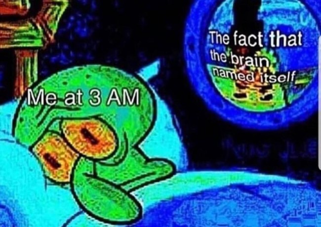 2019 best funny memes