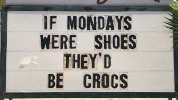 42 Of The Best Damn Photos On The Internet This Morning