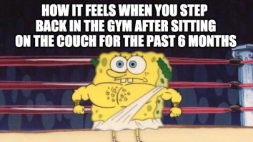 43 Of The Best Damn Photos On The Internet This Afternoon