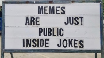 42 Of The Best Damn Photos On The Internet This Morning