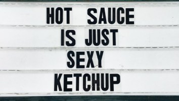 42 Of The Best Damn Photos On The Internet This Morning