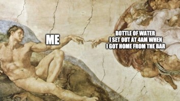 43 Of The Best Damn Photos On The Internet This Afternoon