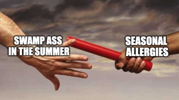 43 Of The Best Damn Photos On The Internet This Afternoon