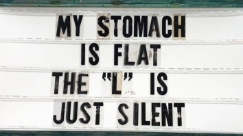 42 Of The Best Damn Photos On The Internet This Morning