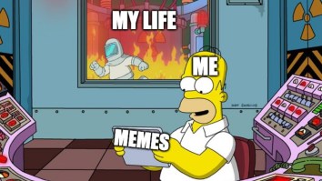 43 Of The Best Damn Photos On The Internet This Afternoon