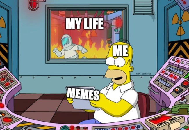 funny memes best daily