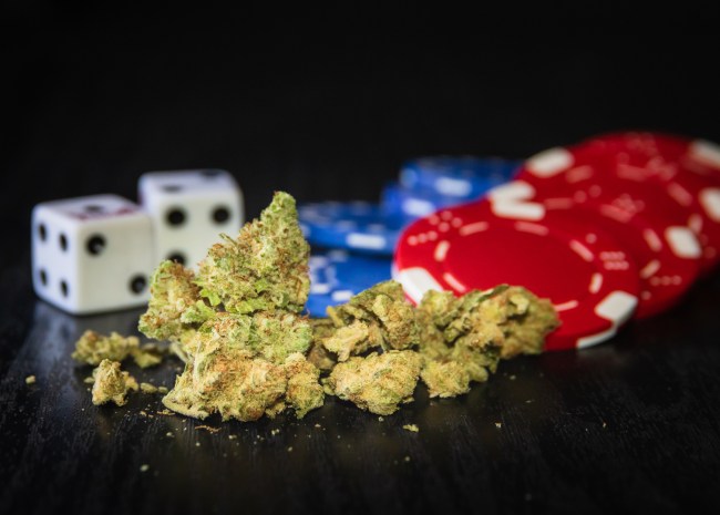 marijuana poker chips dice gambling weed las vegas