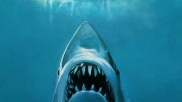 Cage Diver Captures Terrifying Photo Of Great White Shark That Is Stunning Replica Of Iconic ‘Jaws’ Movie Poster