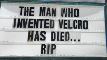 42 Of The Best Damn Photos On The Internet This Morning