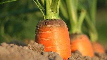 Arby’s Has Created A ‘Meat Carrot’ And It’s A Gigantic Middle Finger To Vegetarians