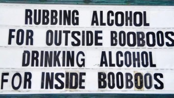 42 Of The Best Damn Photos On The Internet This Morning