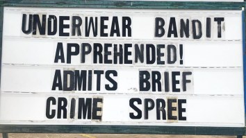 42 Of The Best Damn Photos On The Internet This Morning