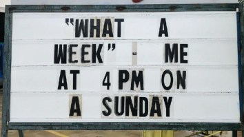 42 Of The Best Damn Photos On The Internet This Morning