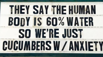 42 Of The Best Damn Photos On The Internet This Morning