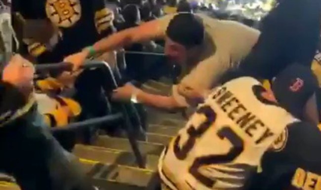Boston Bruins fans fight each other during Game 5 of the Stanley Cup Finals.