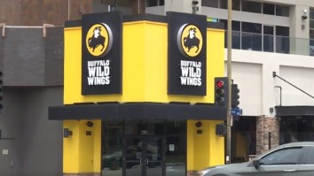 Rat Fell From The Ceiling And Landed On Customer’s Table At A Buffalo Wild Wings
