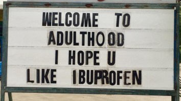 42 Of The Best Damn Photos On The Internet This Morning