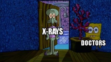 43 Of The Best Damn Photos On The Internet This Afternoon