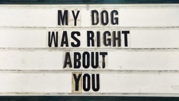 42 Of The Best Damn Photos On The Internet This Morning