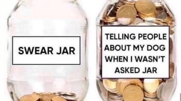 43 Of The Best Damn Photos On The Internet This Afternoon