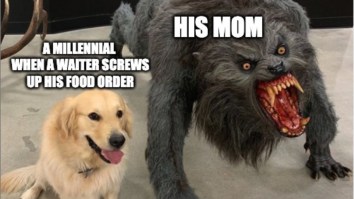 43 Of The Best Damn Photos On The Internet This Afternoon