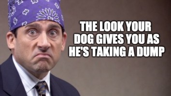 43 Of The Best Damn Photos On The Internet This Afternoon