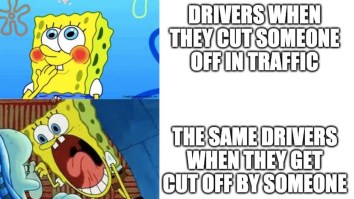 43 Of The Best Damn Photos On The Internet This Afternoon