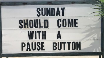 42 Of The Best Damn Photos On The Internet This Morning