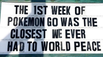 42 Of The Best Damn Photos On The Internet This Morning