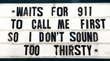 42 Of The Best Damn Photos On The Internet This Morning