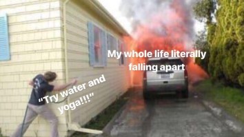 43 Of The Best Damn Photos On The Internet This Afternoon