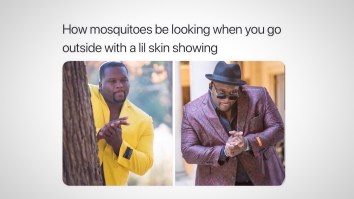 43 Of The Best Damn Photos On The Internet This Afternoon