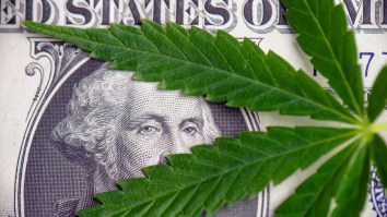 This Chart About Marijuana Growth In America Is A Must-See For Anyone Who Likes Making Money