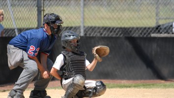 Crazy Brawl Breaks Out Between Dads At 7-Year-Olds’ Baseball Game Over Bad Calls By A 13-Year-Old Umpire